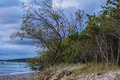 EDG赛区积分排名领先，edg常规赛排名