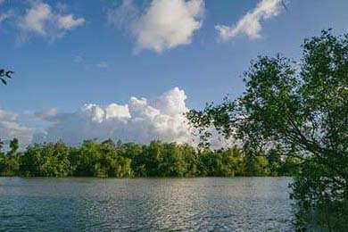 CBA球队防守体系研究，cba防守强度更大